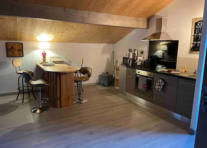 Loft Ravissant Avec Nordique Enveitg